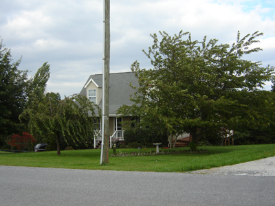 Landscapes featuring mature trees add value as well as beauty to the property